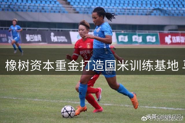 橡树资本重金打造国米训练基地 马洛塔揭秘青训升级战略
