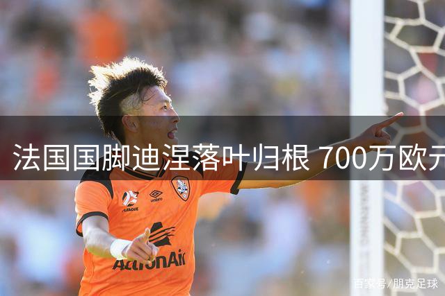 法国国脚迪涅落叶归根 700万欧元重返巴黎圣日耳曼