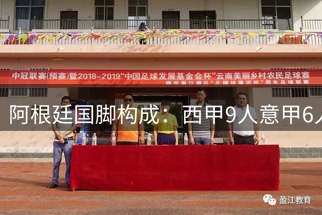 阿根廷国脚构成：西甲9人意甲6人 阿本土仅1人