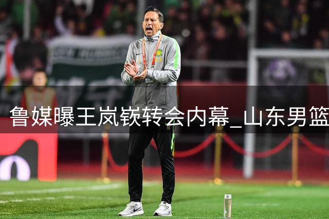 鲁媒曝王岚嵚转会内幕 山东男篮诚意打动两俱乐部
