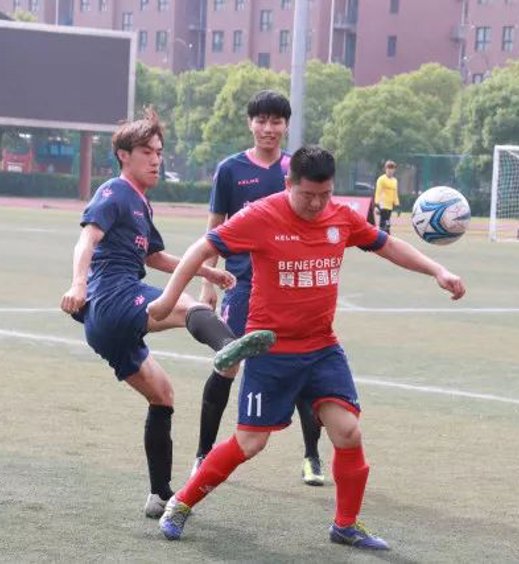 网站介绍